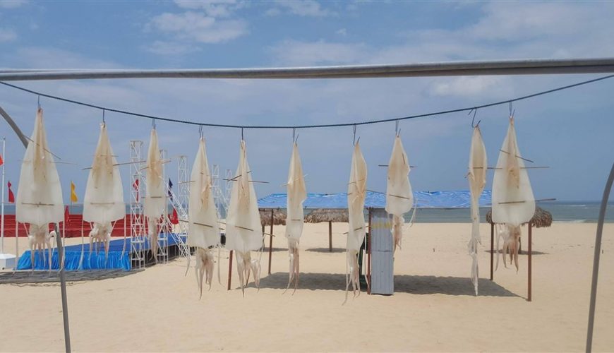 Cầu nối dịch vụ du lịch Quảng Bình